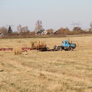 сельхозработы в Лотошинском районе  21 октября 2015 года