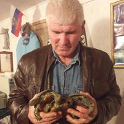Новые обитатели зоопарка - крымские водяные черепахи