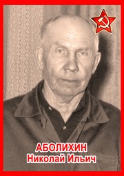 Николай Ильич Аболихин