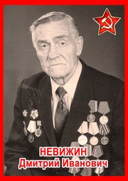 Дмитрий Иванович Невижин
