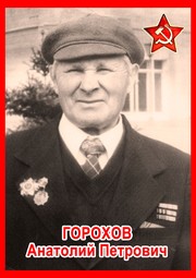 Анатолий Петрович Горохов