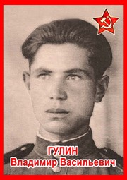 Владимир Васильевич Гулин